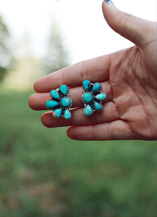 Blue Bird Half Clusters